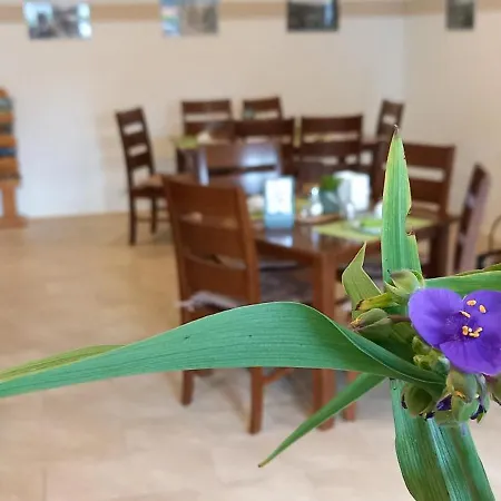 Гостевой дом Gaestehaus Wohngut