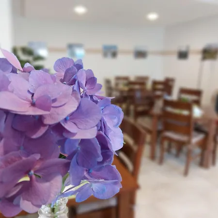 Gaestehaus Wohngut Guest house 3*