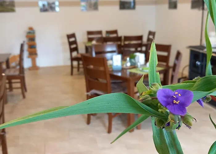 Гостевой дом Gaestehaus Wohngut